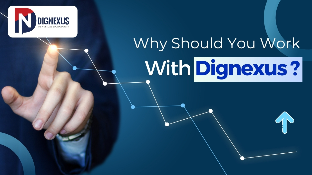 Why Should You Work With Dignexus?